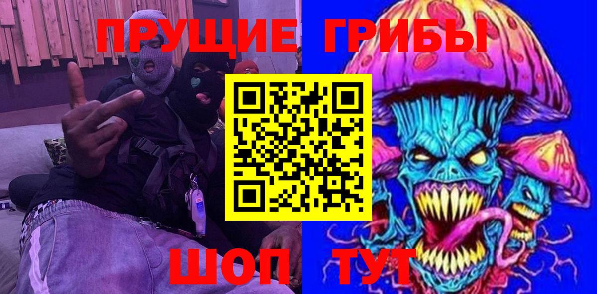 Щёлково  Псилоцибиновые грибы Psilocybine cubensis  Вход с VPN  Псилоцибиновые грибы GOLDEN TEACHER 